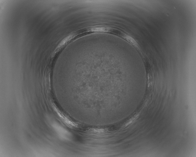 X0000080140349200612081301