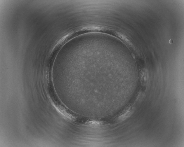 X0000080140352200612081302
