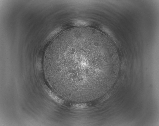 X0000080140353200612081302