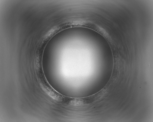 X0000080140354200612081302