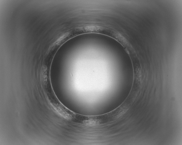 X0000080140356200612081302