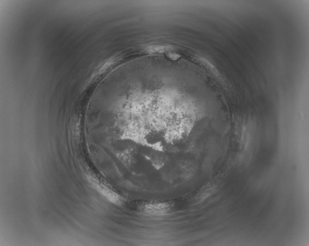 X0000080140357200612081302
