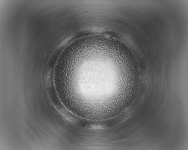 X0000080140360200612081302