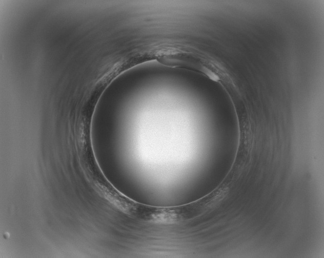 X0000080140362200612081302