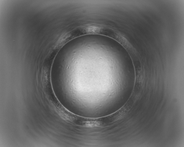 X0000080140363200612081302