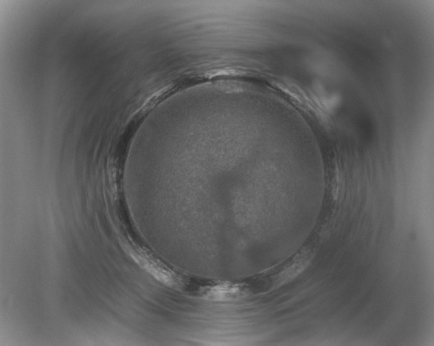 X0000080140366200612081302