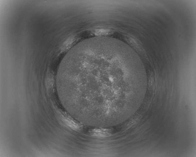 X0000080140367200612081302
