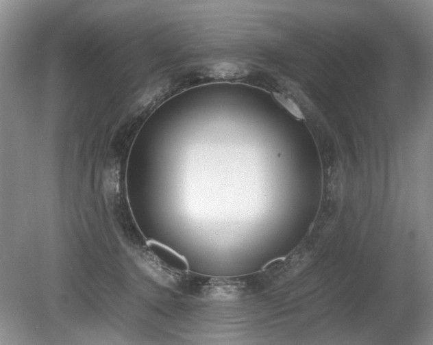X0000080140368200612081302
