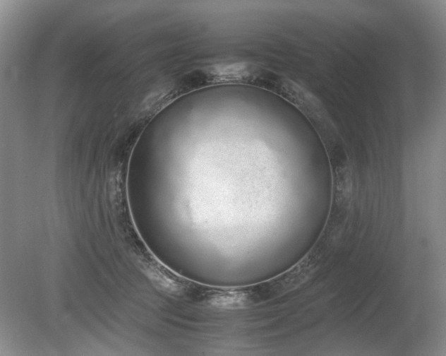 X0000080140369200612081302