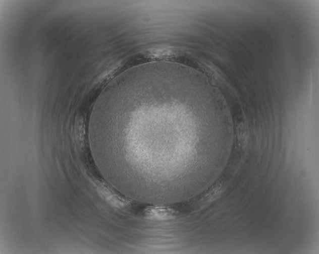 X0000080140372200612081302