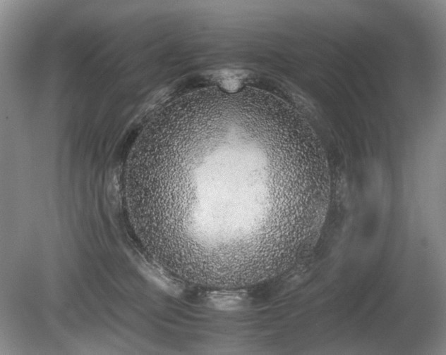 X0000080140373200612081302