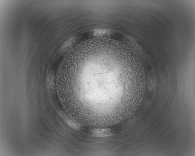 X0000080140375200612081302