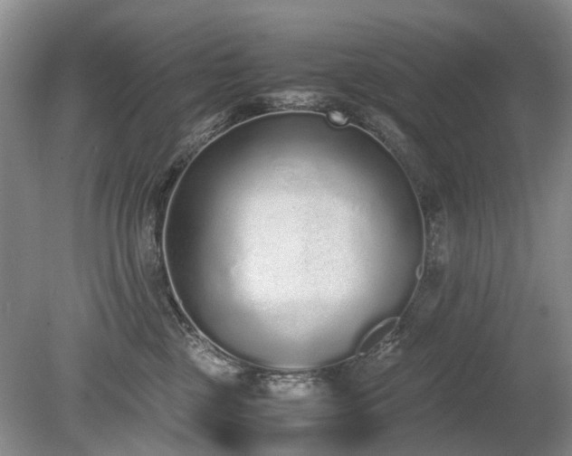 X0000080140377200612081302