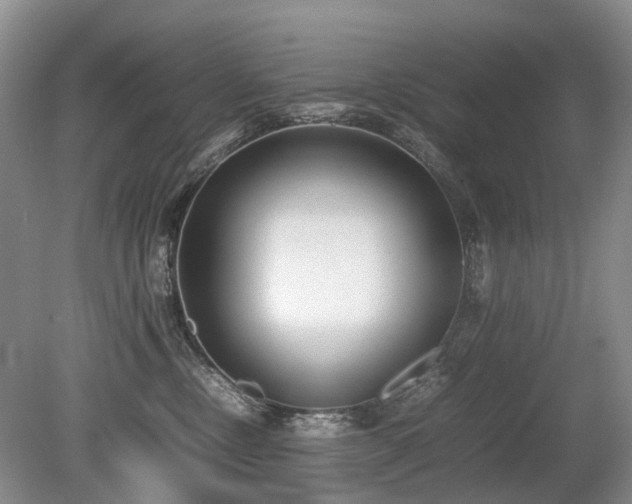 X0000080140378200612081302