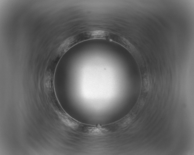 X0000080140379200612081302