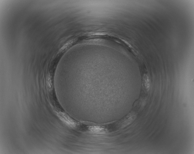X0000080140380200612081302