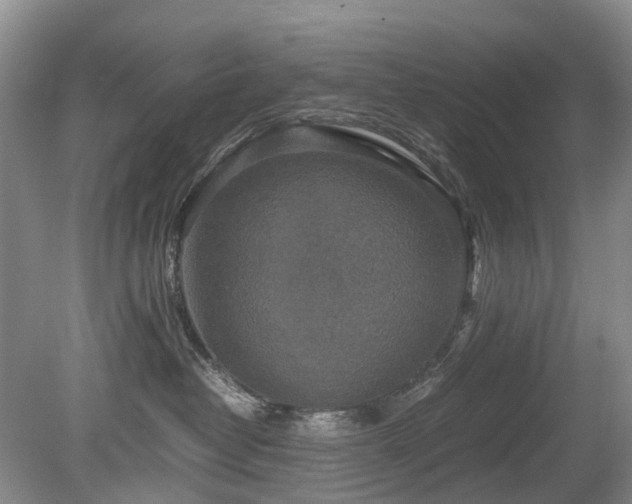 X0000080140382200612081302