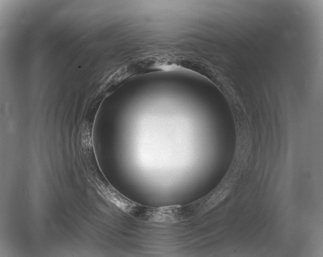 X0000080140384200612081302