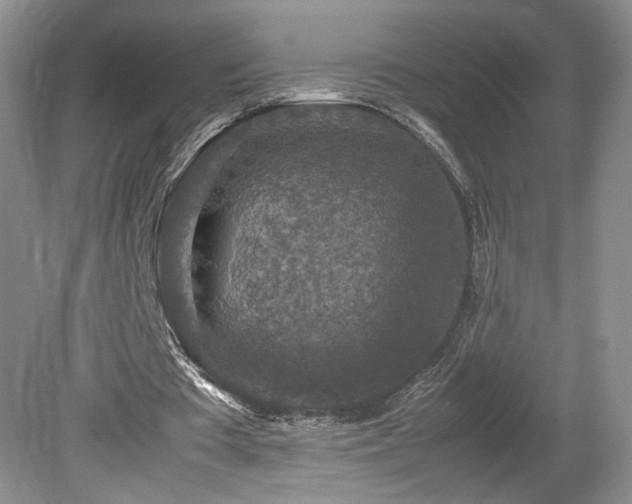 X0000080140385200612081301