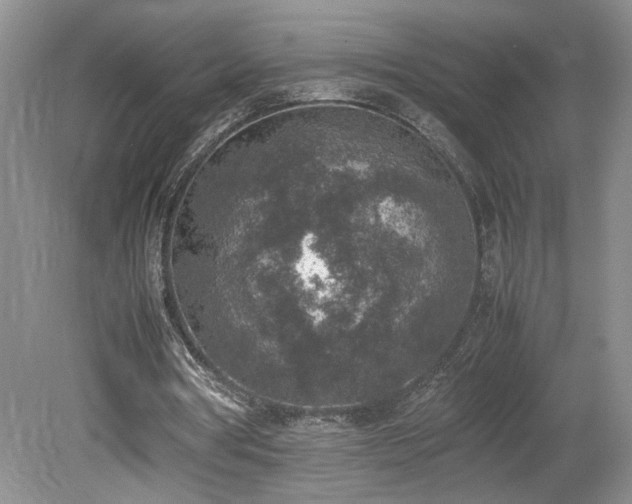 X0000080140386200612081301