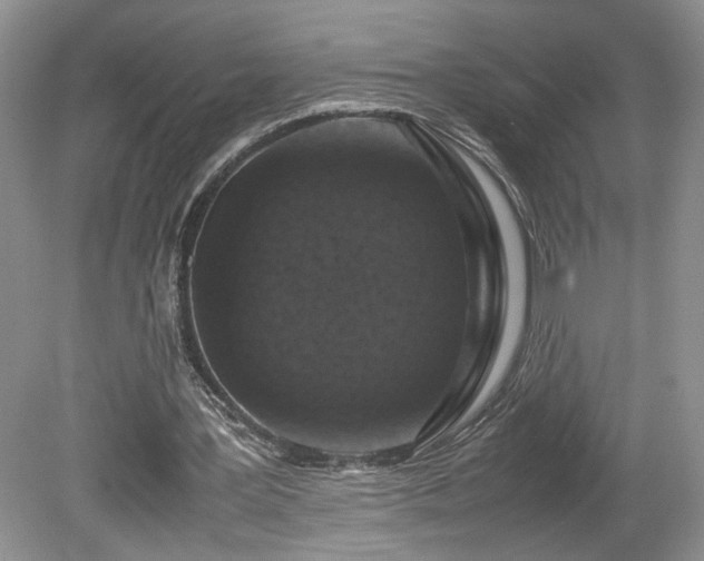X0000080140387200612081301