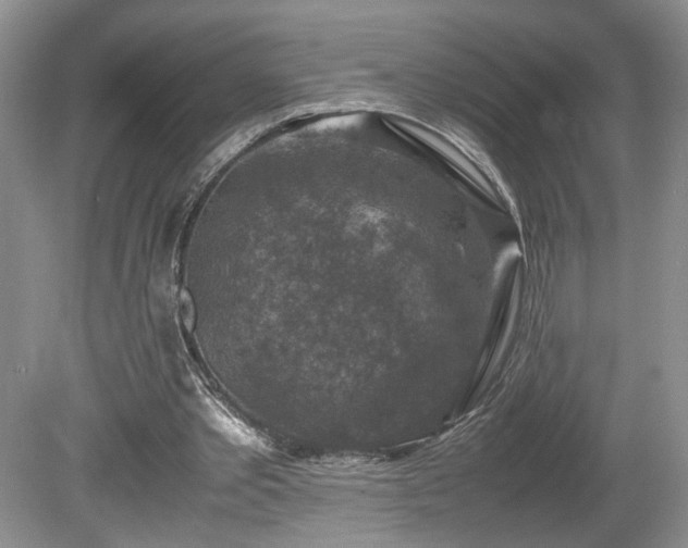 X0000080140389200612081301