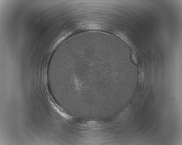 X0000080140390200612081301