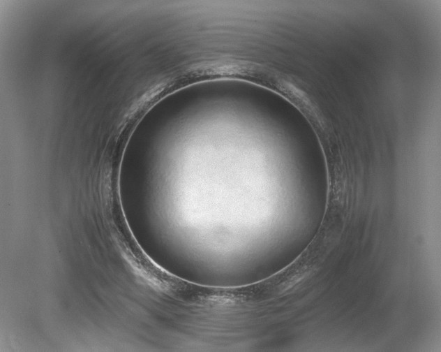 X0000080140394200612081301