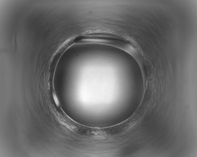 X0000080140395200612081301