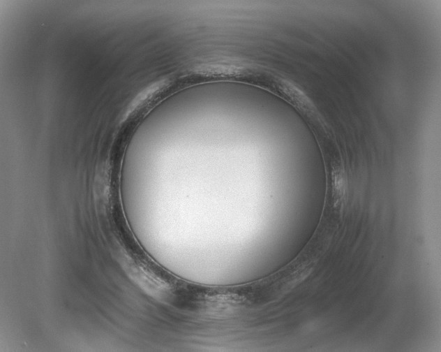 X0000080140396200612081301