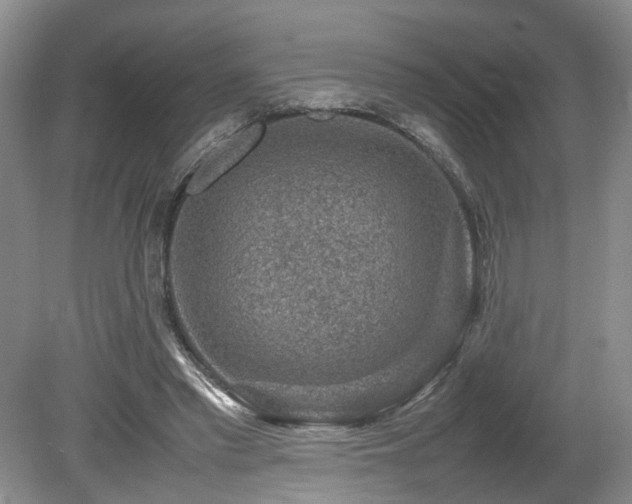 X0000080140397200612081301