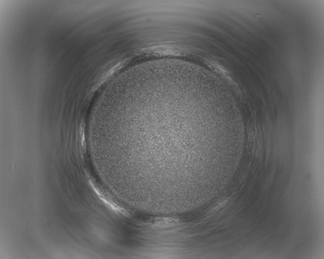 X0000080140398200612081301