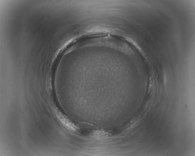 X0000080140399200612081301