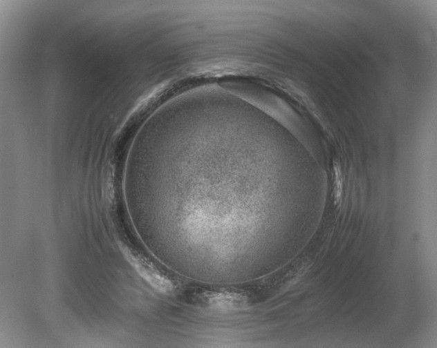 X0000080140400200612081301
