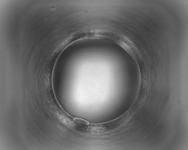 X0000080140401200612081301