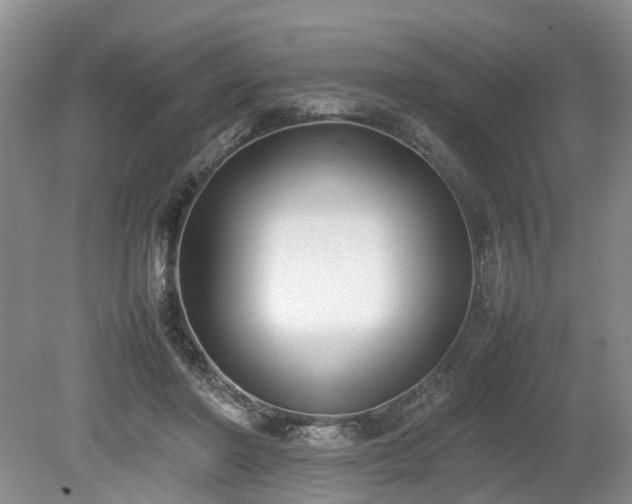 X0000080140406200612081301