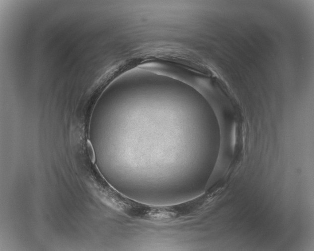X0000080140407200612081301