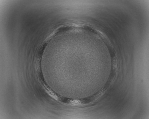 X0000080140409200612081301