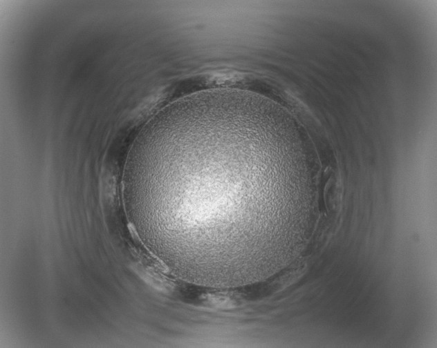 X0000080140417200612081301