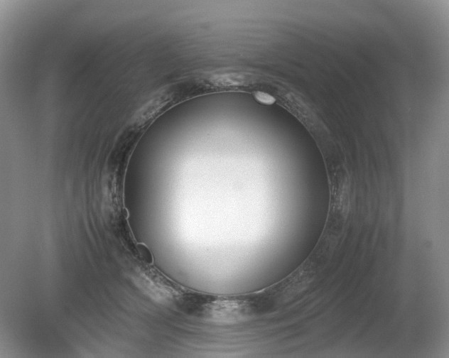 X0000080140418200612081301
