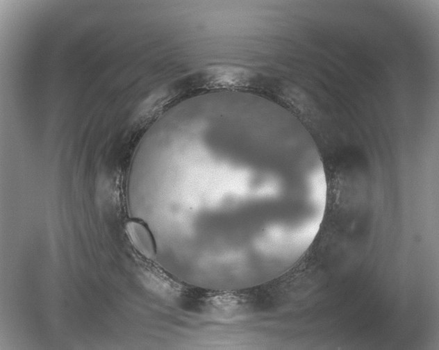 X0000080140423200612081301