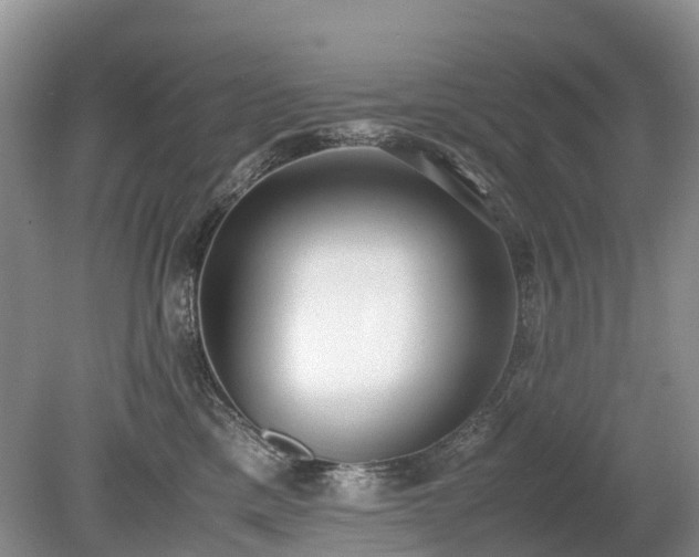 X0000080140425200612081301