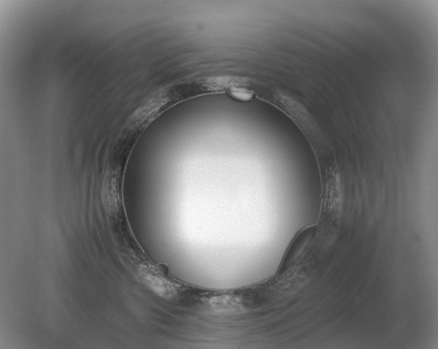 X0000080140426200612081301