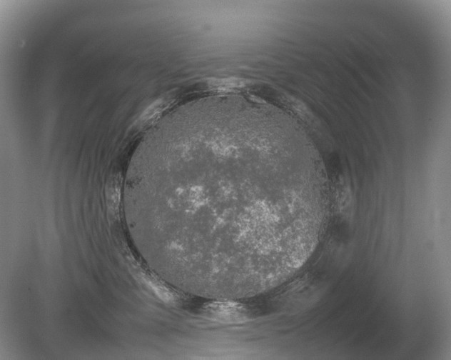 X0000080140427200612081301
