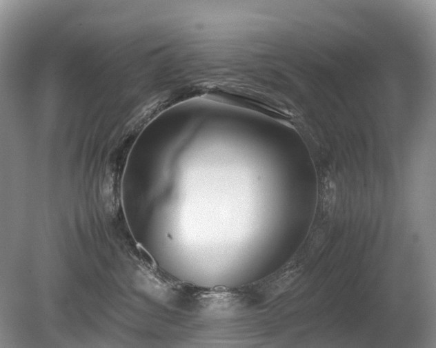 X0000080140428200612081301
