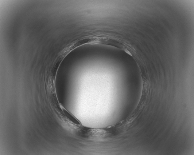 X0000080140429200612081301