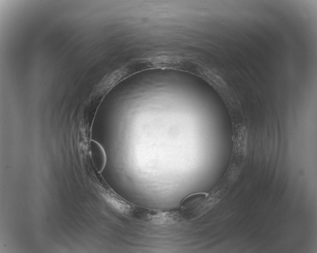 X0000080140430200612081301