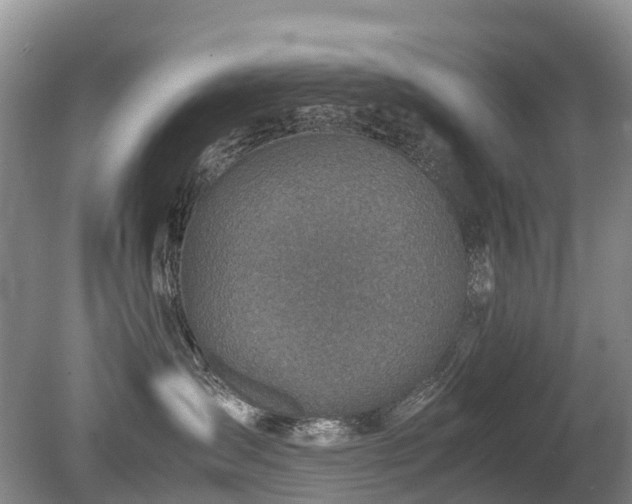X0000080140431200612081301