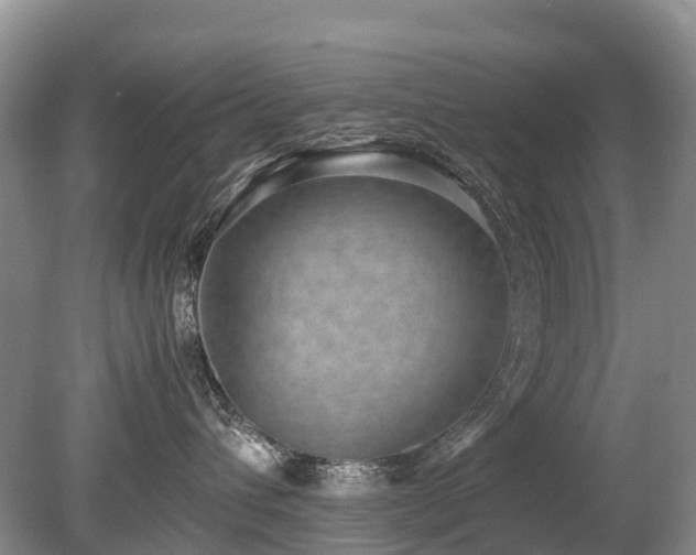 X0000080140432200612081300