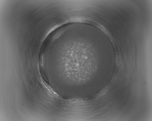 X0000080140434200612081300